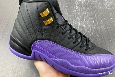 Jordan 739 Retro CT8013-057 EasyMatch Air 12 1117